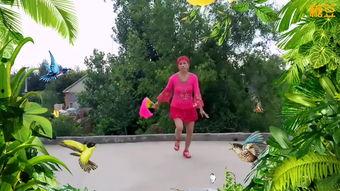 广场舞手帕成人舞蹈视频,广场舞手帕成人舞蹈风采展示