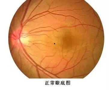 眼底检查全过程视频成人,揭秘成人生理健康奥秘