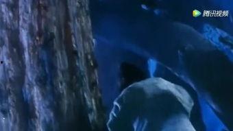 成人捉人游戏视频,成人版童年回忆重现