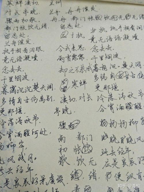 成人怎么练笔字视频,轻松掌握书法之美