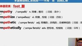 成人基础拼音视频教学,轻松掌握成人拼音学习