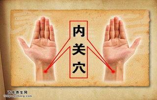 成人刮痧退烧的视频讲解