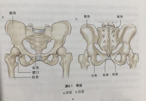 成人如何考级考试呢视频,视频解析学习路径