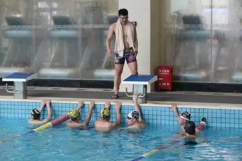 学游泳工具成人初学视频,成人学游泳视频教程全解析