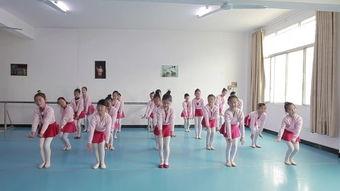 成人开幕蜜蜂舞视频播放,成人开幕式上的自然交响